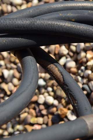 z 5044.jpg z 5044.jpg